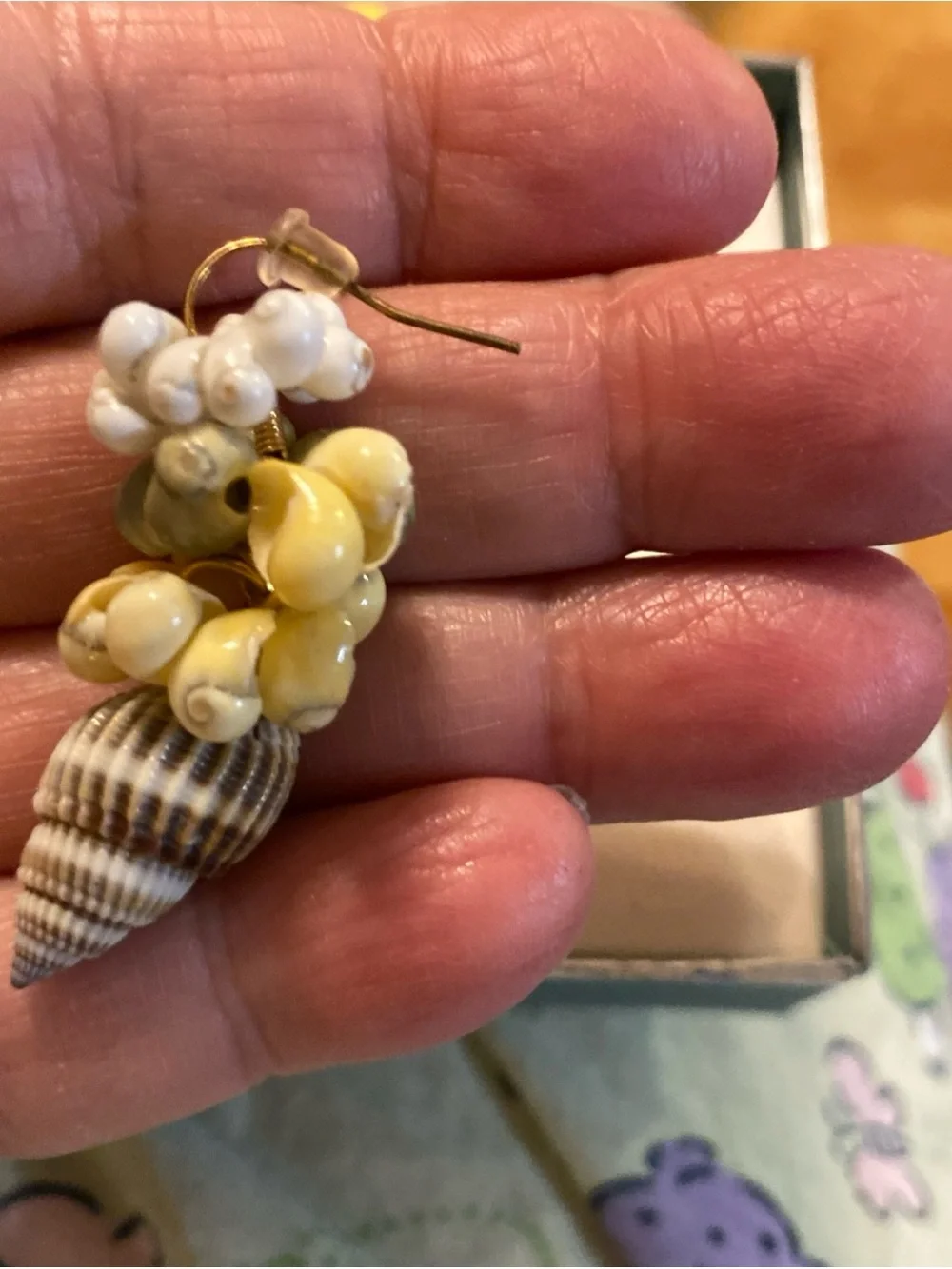 N/A delicate shell